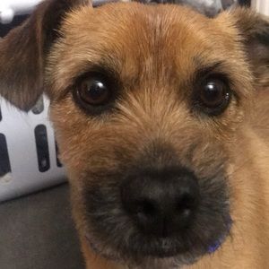 Meet your Posher, Mike